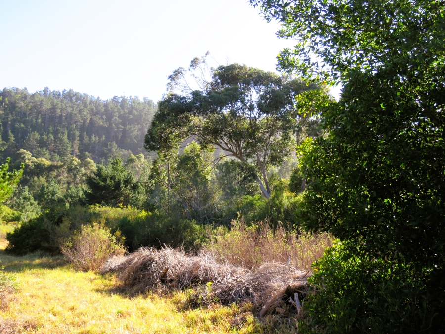 0 Bedroom Property for Sale in Keurbooms Western Cape